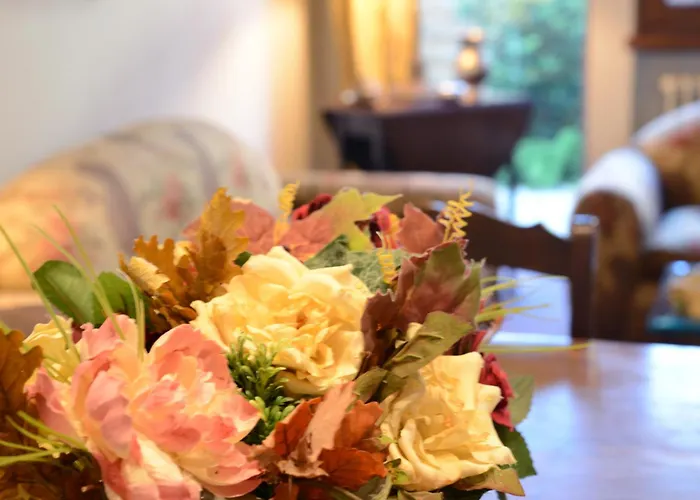 Ghepy House Βιαρέτζιο